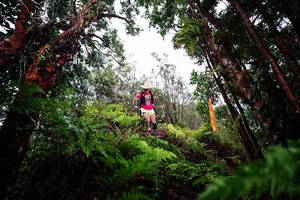 BIB: 
                            <button type="button" onclick="openModal(26203922)" class="btn btn-primary btn-sm float-right btn-popup" data-toggle="modal" data-target=".modal-high-quality">
                        <i class="fas fa-shopping-cart"></i> Add to Cart
                    </button>
                                            <button type="button" onclick="isThisMe(26203922, true)" class="btn btn-success btn-sm float-right btn-popup btn-isme hidden" data-toggle="tooltip" data-placement="bottom" title="นี่คือรูปของคุณใช่ไหม คลิกที่นี่เพื่อเอาเข้าอัลบั้ม">
                        <i class="fas fa-plus"></i> Add to album
                    </button>
                    <button type="button" onclick="isThisMe(26203922, false)" class="btn btn-warning btn-sm float-right btn-popup btn-isnotme hidden">
                        <i class="fas fa-ban"></i> Remove from album
                    </button>